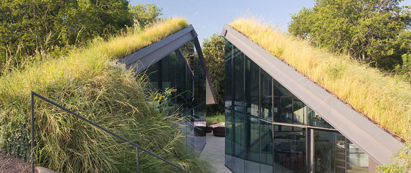 Residential Green Roof Monterey Park